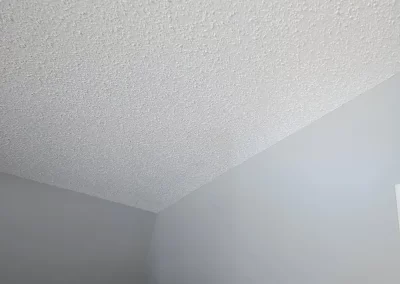 Professional Insulation Services