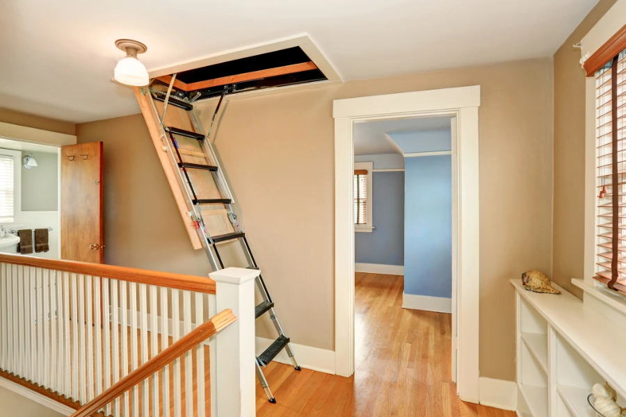 Excellent Attic Mold Removal Service in Calgary, AB Excellent Attic Mold Removal Service in Calgary, AB
