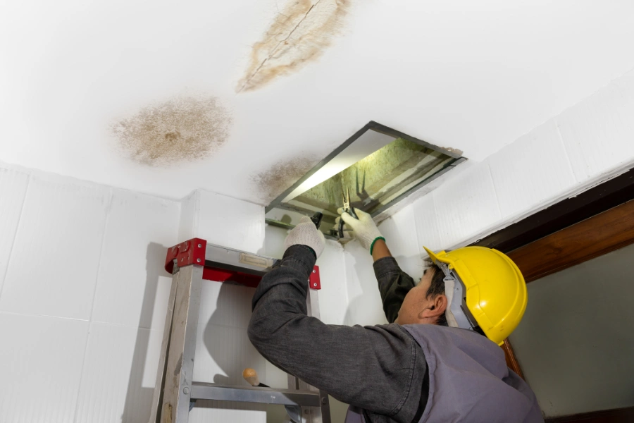 Experienced Attic Mold Removal Service in Calgary, AB Experienced Attic Mold Removal Service in Calgary, AB