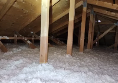 Experienced Insulation Service