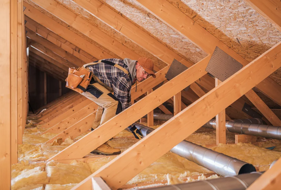 Reliable Attic Mold Removal Service in Calgary, AB Reliable Attic Mold Removal Service in Calgary, AB
